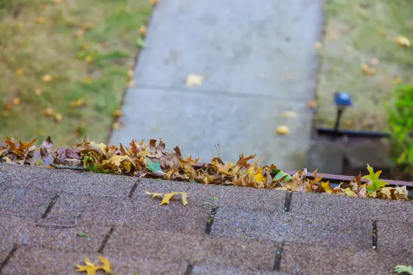 Clogged gutter drains causing basement flooding